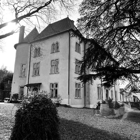 Bed And Breakfast Le Chateau De Morey Belleau Exterior foto