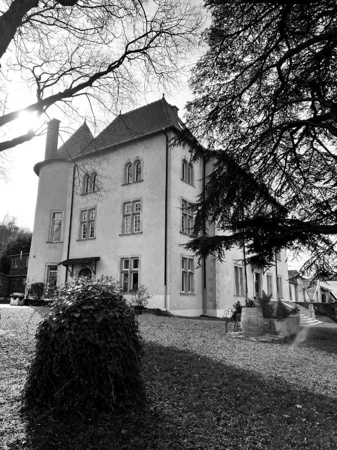 Bed And Breakfast Le Chateau De Morey Belleau Exterior foto