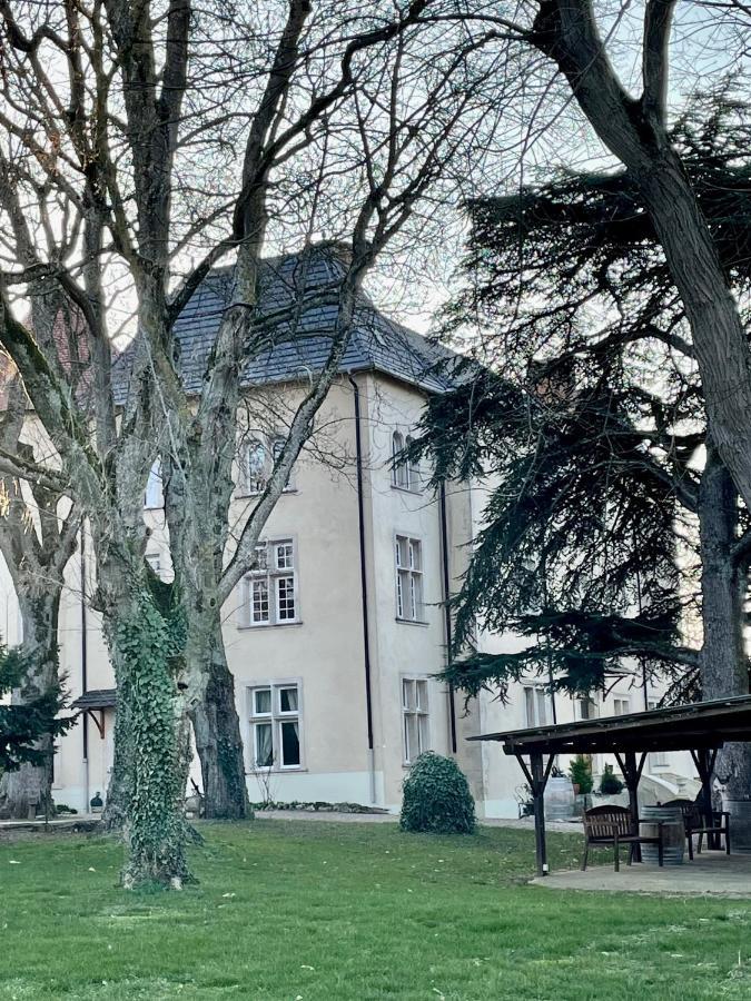 Bed And Breakfast Le Chateau De Morey Belleau Exterior foto